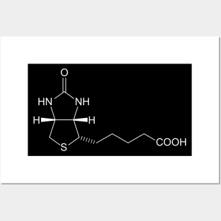 Vitamin B7 Biotin C10H16N2O3S Posters and Art